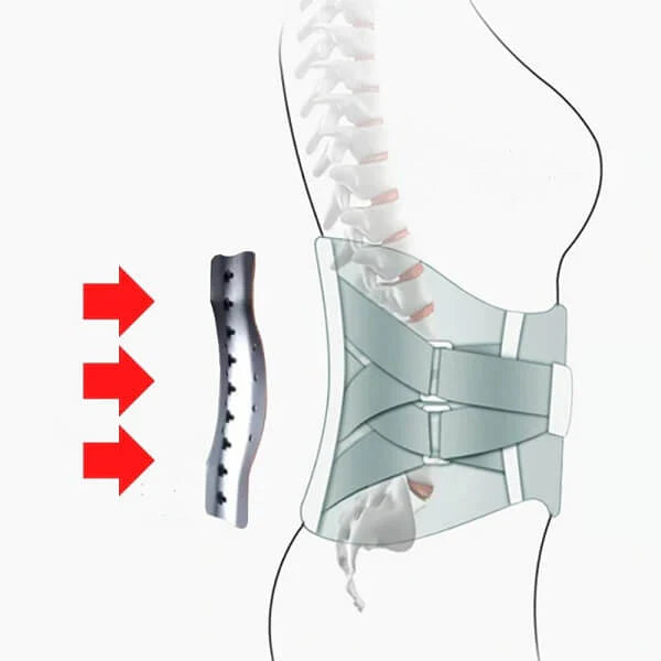 🔥Hot Sale - 49% OFF🔥 avolqira- Orthopedic Support Belt with Magnets